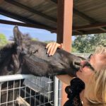 Kaitlin Doubleday Instagram – I’ve found my happy place guys, all I need are a couple of baby miniature pigme’s and pony’s (oh and a few miniature cows, a baby stallion and llama not pictured) I’m movin in! @evansilverberg and @kaththeblonde