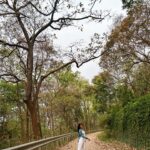 Kajal Sharma Instagram – In my happy place🍂🍃
.
.
.
.
.
.
.
#explore #home #nature #morningvibes