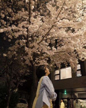 Kang Hye-yeon Instagram - 밤벚꽃🌸