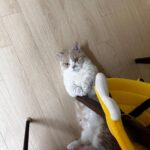 Kang Ji-young Instagram - a week something to find 🕊️