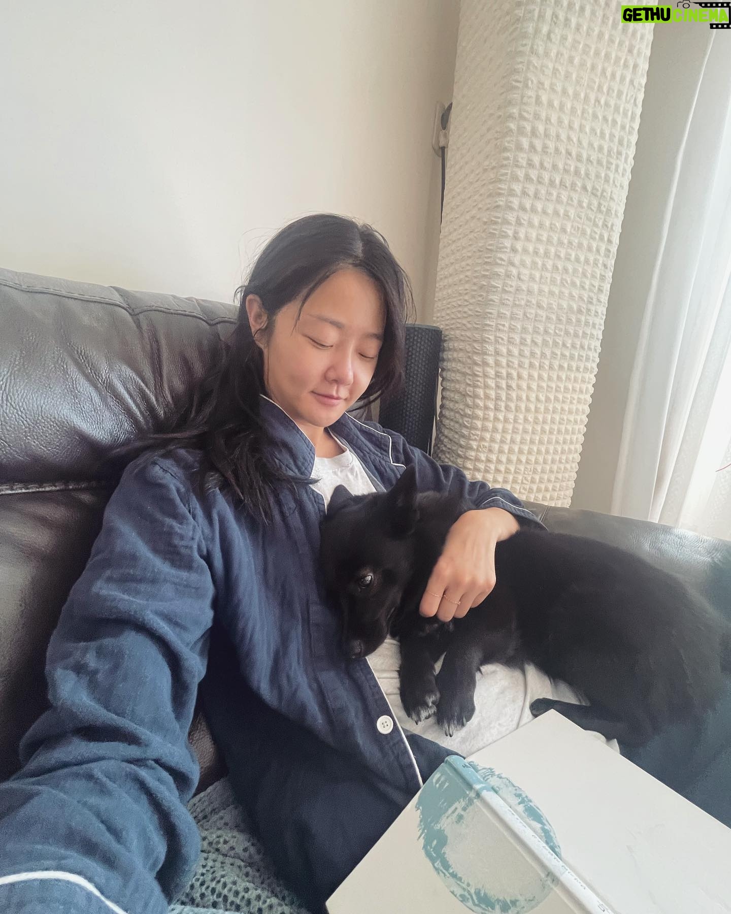 Kang Seung-hyun Instagram - 어느새 개둘엄마가 되었네 ☺️ 사랑해 첵스 코코 ❤️