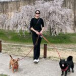 Kang Seung-hyun Instagram - 🌸 🐕