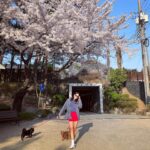 Kang Seung-hyun Instagram - 🌸 🐕