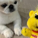 Kang Ye-won Instagram – 새해 복 많이 받으세요🙇‍♀️

어서와 2024♥️

고생했다  잘가 2023👋