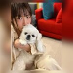 Kang Ye-won Instagram – 메리크리스마스🎄☃️🩷🐶🙏🩵