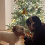 Kang Ye-won Instagram – 홈파티💕🐶🐩🥰🎄
@sweet__jjin
진이언니네🏠