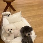 Kang Ye-won Instagram - 애들이랑 진이언니랑 이번주 마무리🩵