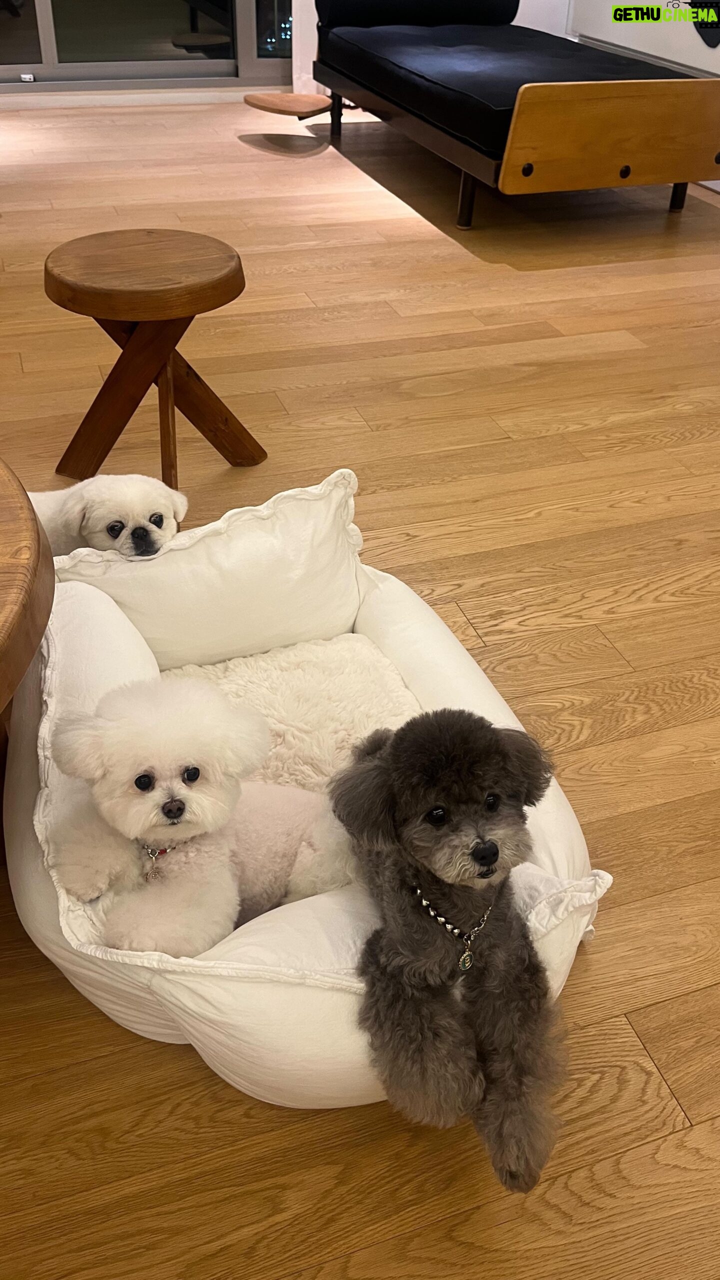 Kang Ye-won Instagram - 애들이랑 진이언니랑 이번주 마무리🩵