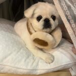 Kang Ye-won Instagram – 분명 추웠는데. .
귀가 시릴까봐
사준건데🥲