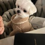 Kang Ye-won Instagram – 우리🩵🫶🐶
