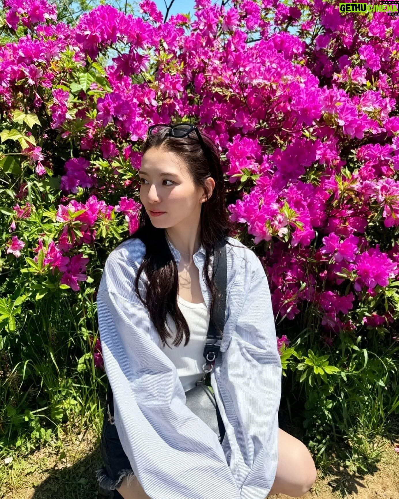Kanon Miyahara - 3 Likes - 天気良くて花も生き生きしてて
気持ちよかったー💞
#昭和記念公園