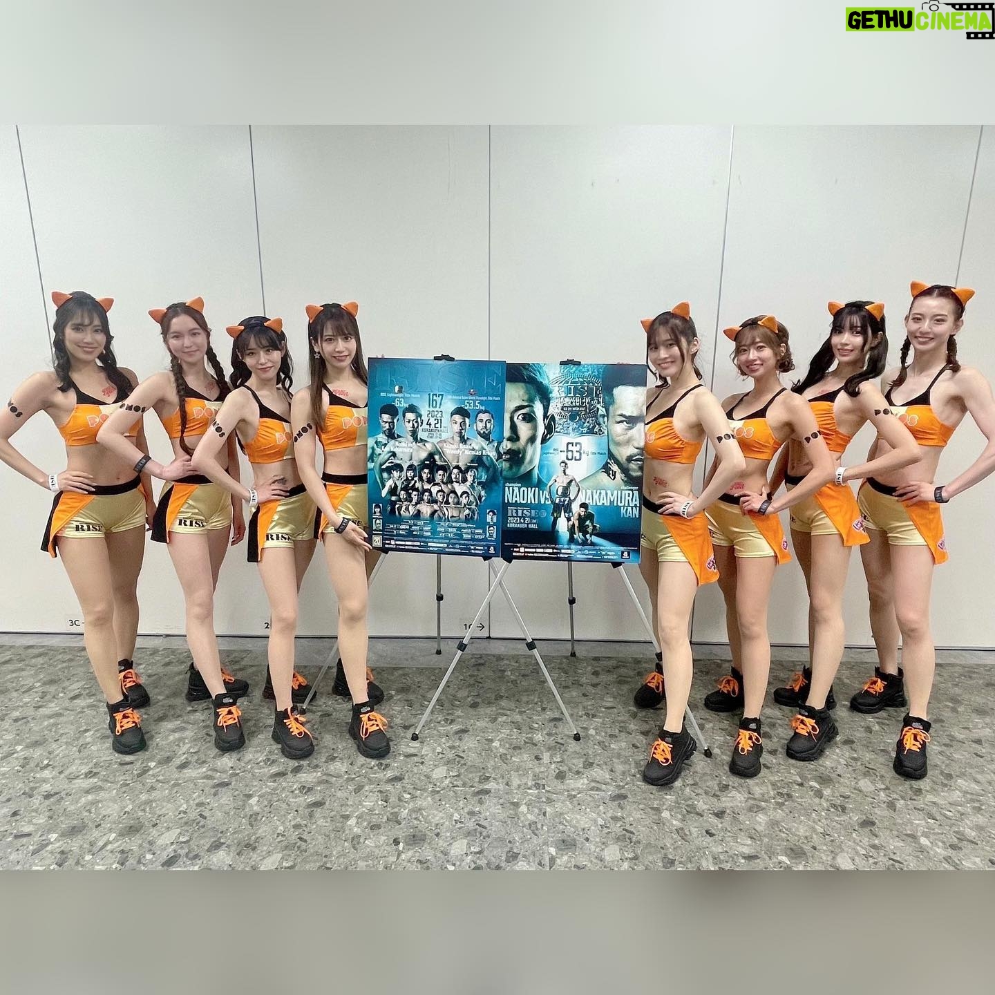 Kanon Miyahara Instagram - #RISE167 ありがとうございました! 今回R-1SE Force2023として お披露目の日でもありましたが 個人的にデビュー戦の日ということもあり 忘れられない日になりました。 少し長くなりますが読んでくれると うれしいです!! 10月から始まったRISES TUDIO内の 「宮原華音のRISEファイターに私はなる!」 のコーナーで試合への道がスタートし ぶっちゃけ本当に後楽園という 素晴らしい舞台に立てるとは思いもしませんでした。 約1年前からもっと格闘技を知りたいと思い TARGET SHIBUYAに通い始め 最初は週1行けたらいいくらいのペースで 気持ちよく体を動かしてました。 いつの間にか週3.4と増えていき 試合が決まってからは仕事でどうしても行けない日 以外は毎日通いました。 プロ練に混ぜてもらい始めて1発目の練習で ボコボコにされ始めてダウン寸前まで行き 怖くていきたくない日が続きました。 ぶっちゃけ逃げてた部分もあります。 でも試合で負けたくない。絶対に勝ちたい 自信持って4月21日後楽園にで試合をしたい そんな思いからプロ練でみなさんに鍛えていただき 久しぶりに坂道ダッシュもしたり 空手部時代を思い出しました。 小学2年生から始めた空手で全国の舞台も 世界の舞台も経験しましたが怪我も多く 一線で試合をし続けること諦めた16歳 そして芸能の道で生きていくと決めた16歳 まさか10年後またキックボクシングで 試合をするとは思ってもいませんでした。 この試合は相手の金子選手が 受けてくださって成り立った試合です。 本当にありがとうございました! 試合後お話しさせていただき 本当に素敵な方と試合ができたなと思いました。 辛いこともあるし明日が怖くなることもあるけど 生きてさえいればきっといいこと訪れるし 自分の気持ち、行動次第でこれからの人生は 変えられると私は思ってます。 たくさんの方が応援してくださり 本当に私は幸せものだと実感しました✨ この試合を見てすこしでも元気をもらったり 勇気をもらった方がいたらいいな〜… これからのことはひとまず考えず ゆっくり友達に会ったり美味しいもの食べたり しっかりお仕事もしたいと思います😊 伊藤代表をはじめ RISE関係者の皆様 応援してくださったみなさま 本当にありがとうございました!!! ラウンドガールとしても すぐリング上に戻って来れて 本当によかったー🤍🤍 2023年4月21日(金) 宮原華音
