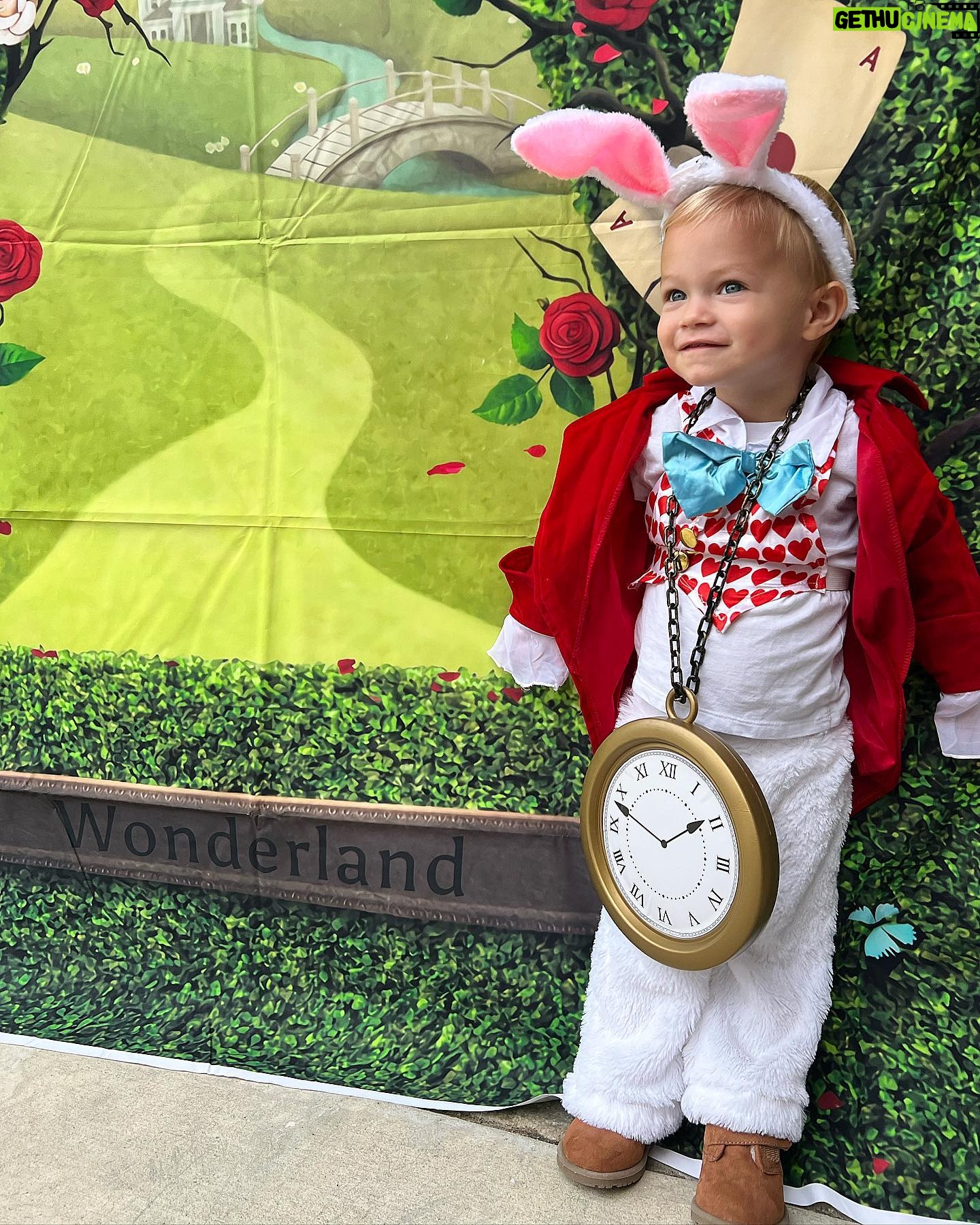Kara Keough Instagram - Down the rabbit hole and through the looking glass we went! #aliceinwonderland