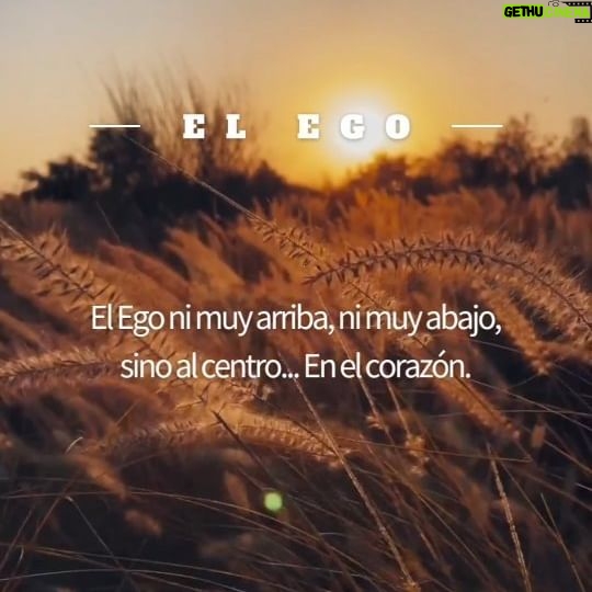 Karen Leone - 3 Likes - Se dice mucho que el ego es negativo y siempre he pensado que como todo, depende hacia donde lo direcciones, cual es tu intención y de qué lugar lo estás comunicando.
.
.
.
#ego #amor #corazon