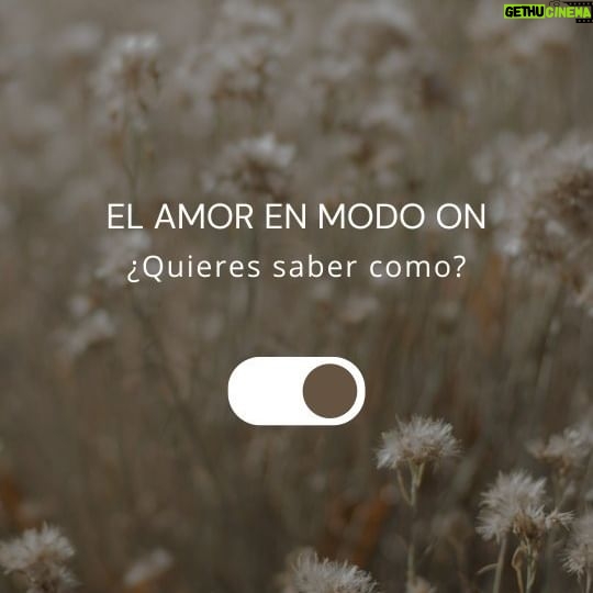 Karen Leone - 3 Likes - Conecta siempre con tu corazón, respiración consciente y en el presente... Te darás cuenta que el amor está en ti... ✨💜✨