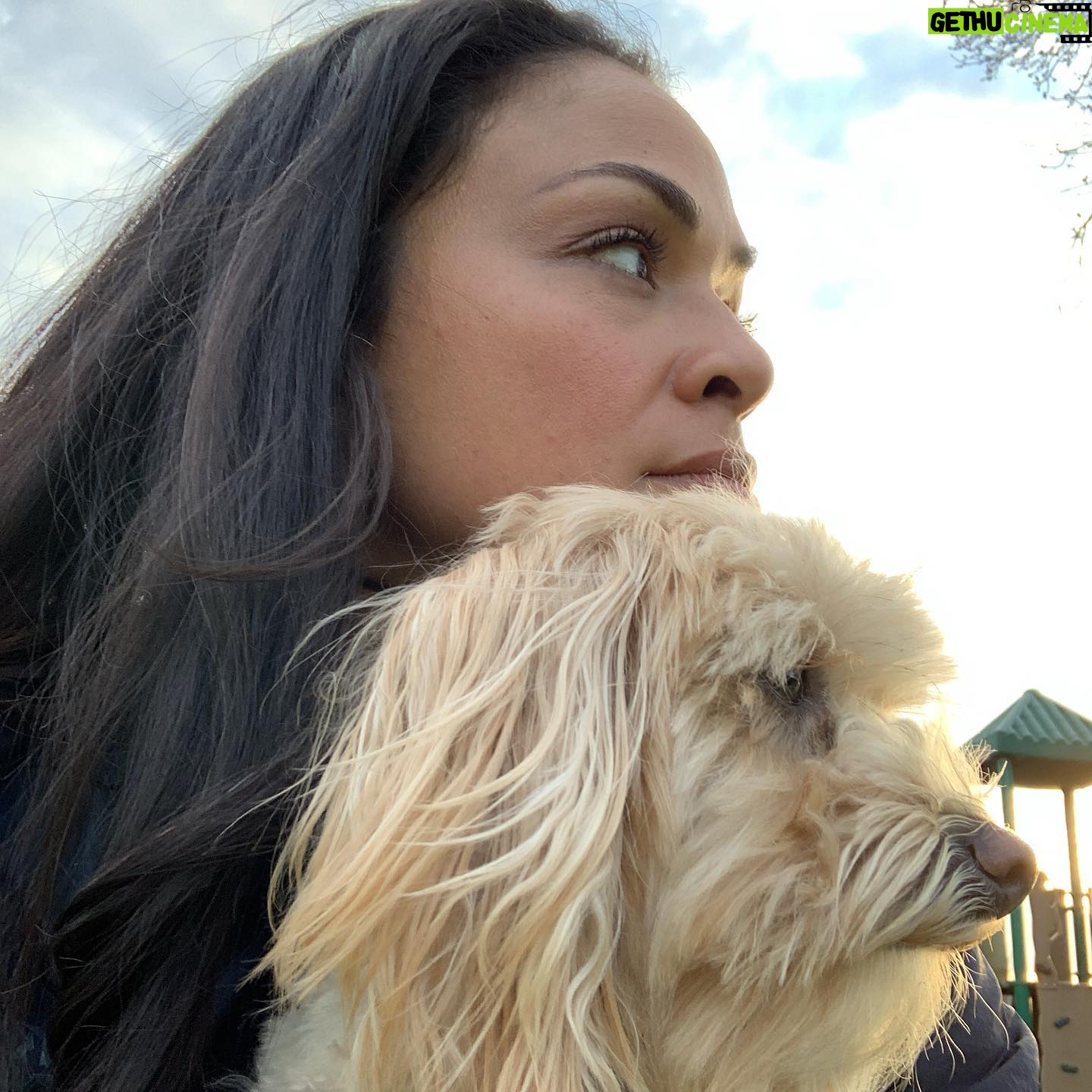 Karen Olivo - 2.2K Likes - Best friends. 🥰💖✊🏽#ESAnimals
