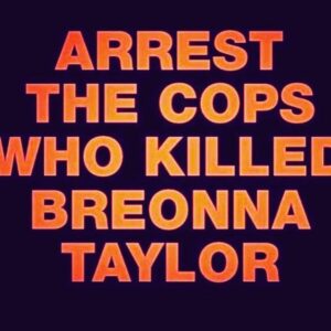 Karen Olivo Instagram - ...thank you, @carlclemonshopkins for keeping our attention on the REAL issues.