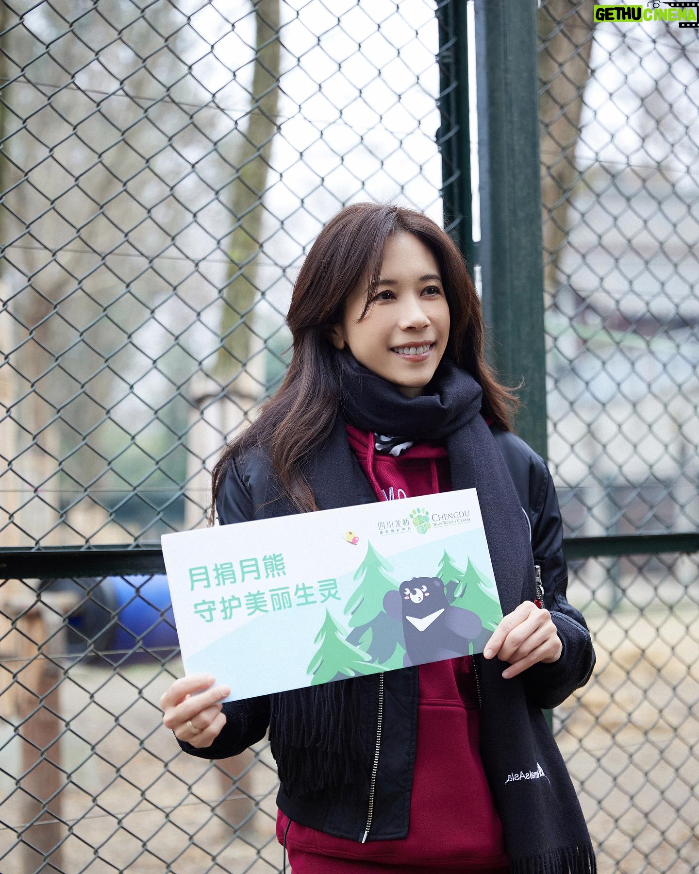 Karen Mok Man-Wai Instagram - 和大家介紹我的兩個新寵兒🐻— 莫家寶貝兒Bao Bear & 自然Nature Love 每次到月熊保護基地都會遇見好陽光☀️ 讓我相信:愛是自然也是奇遇,我們與「寶貝」終會在愛裡再重逢💞 下一個二十年,希望繼續與愛同行🐾 Come meet the bears! Bao Bear 莫家寶貝兒 & Nature Love 自然 👗 Karen Mok x iHubb 💇♀️ @derrick_ng 💄 @lingchan_makeup 📸 @janshenphoto @animalsasia #MoonBears #月熊保護基地 #莫文蔚 #KarenMOK #MokAByeKitty #莫貓寶貝 #莫家寶貝兒 #BaoBear #自然 #NatureLove