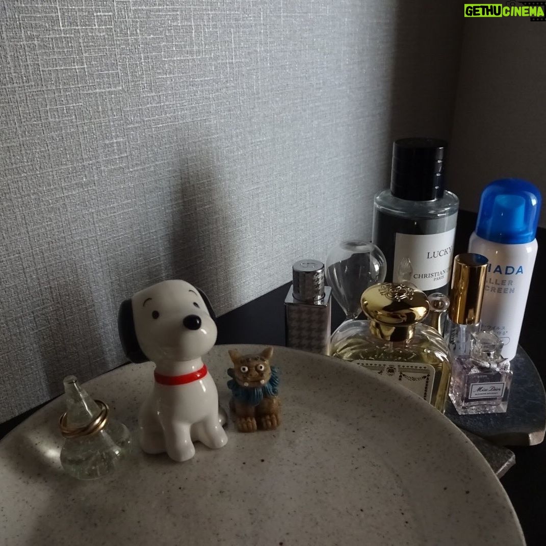 Karen Otomo Instagram - 8枚目、閲覧注意ですな。 最近のキュンたち。