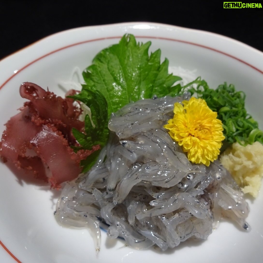 Karen Otomo Instagram - 最近は美味しいものに埋もれています🤤 カフェ行ったり、創作料理食べたり。 プライベートでもお仕事でも 美味しいものを楽しく食べられるのってとっても幸せなことですね☺️ ご飯はすべての源。 ちゃーんと心にまで届くご飯を楽しみたいです✨ さて!今週の予定です🙇♀️ 5月20日(月) ・17:10〜FM GUNMA「flower pot」 ・22:00〜Abema「今日、好きになりました。」 5月22日(水) ・24:29〜中京テレビ「お笑い4コマパーティーロロロロ」 5月25日(土) ・22:00〜テレビ朝日「ザ・ニンチドショー」 今週も美味しく楽しみましょう~