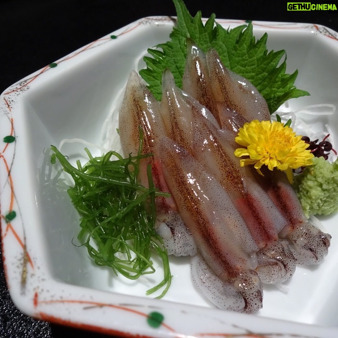 Karen Otomo Instagram - 最近は美味しいものに埋もれています🤤 カフェ行ったり、創作料理食べたり。 プライベートでもお仕事でも 美味しいものを楽しく食べられるのってとっても幸せなことですね☺️ ご飯はすべての源。 ちゃーんと心にまで届くご飯を楽しみたいです✨ さて!今週の予定です🙇♀️ 5月20日(月) ・17:10〜FM GUNMA「flower pot」 ・22:00〜Abema「今日、好きになりました。」 5月22日(水) ・24:29〜中京テレビ「お笑い4コマパーティーロロロロ」 5月25日(土) ・22:00〜テレビ朝日「ザ・ニンチドショー」 今週も美味しく楽しみましょう~