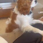 Karen Pittman Instagram - Life lately…