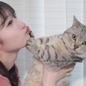 Karin Miyamoto Instagram - ♡

💋🐱😇
シェル(猫)

#拒否された
#辛い
#マンチカン
#シェル