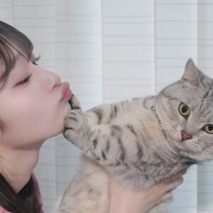 Karin Miyamoto Instagram - ♡

💋🐱😇
シェル(猫)

#拒否された
#辛い
#マンチカン
#シェル