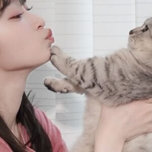Karin Miyamoto Instagram - ♡

💋🐱😇
シェル(猫)

#拒否された
#辛い
#マンチカン
#シェル