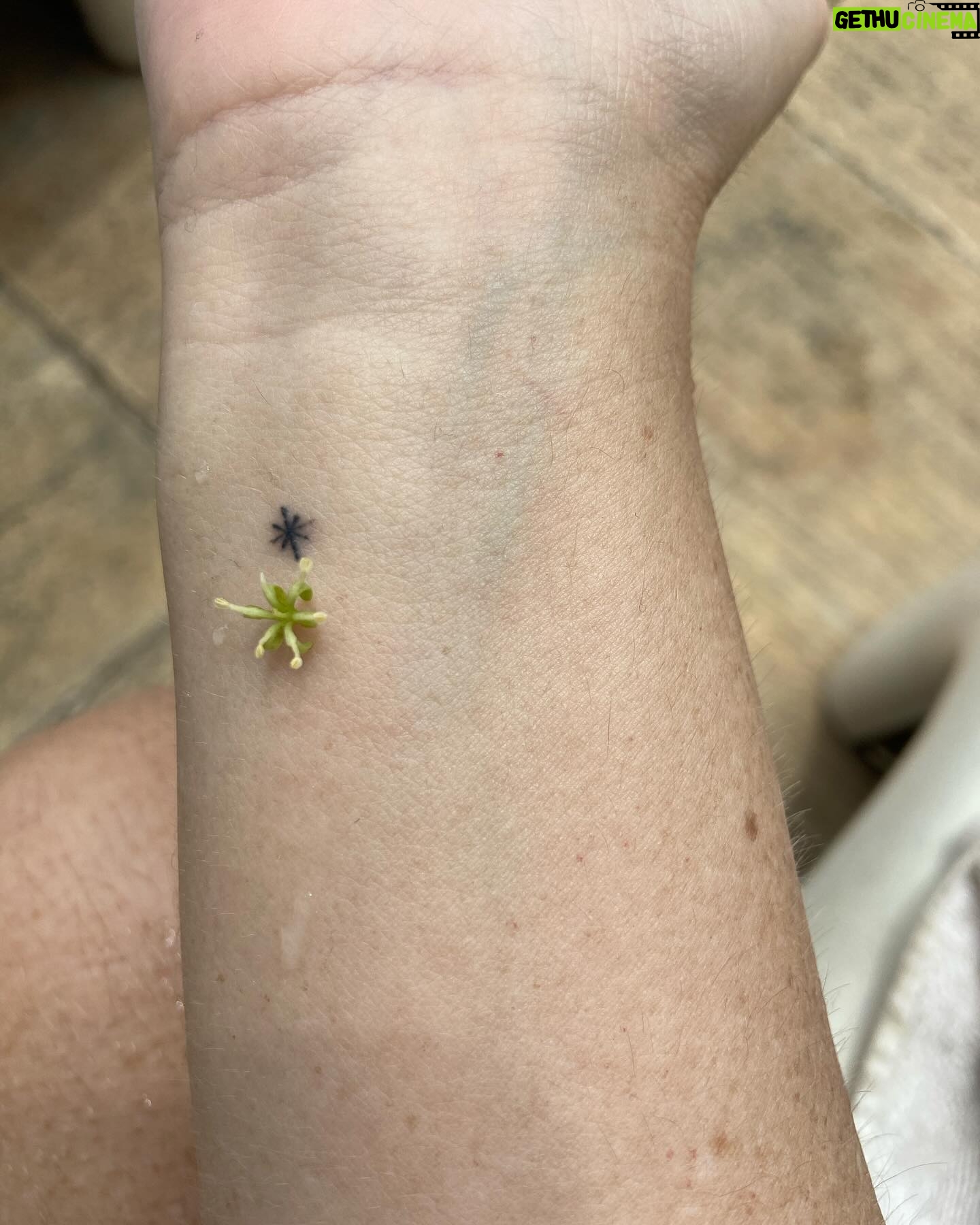Karine Teles Instagram - Um conto em cada uma dessas imagens. Palavras que faltam às sensações. Eu sei o que cada uma me diz e compartilho aqui sem explicar. Um pouco como memória, um pouco como depoimento, um pouco como pergunta. Como investigação. Evidências da travessia. #dump #sabadocomgripe