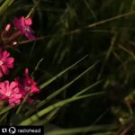 Karla Cossío Instagram - Díaaaas
