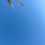 Karolína Muchová Instagram – Take me back to Mallorca 💙