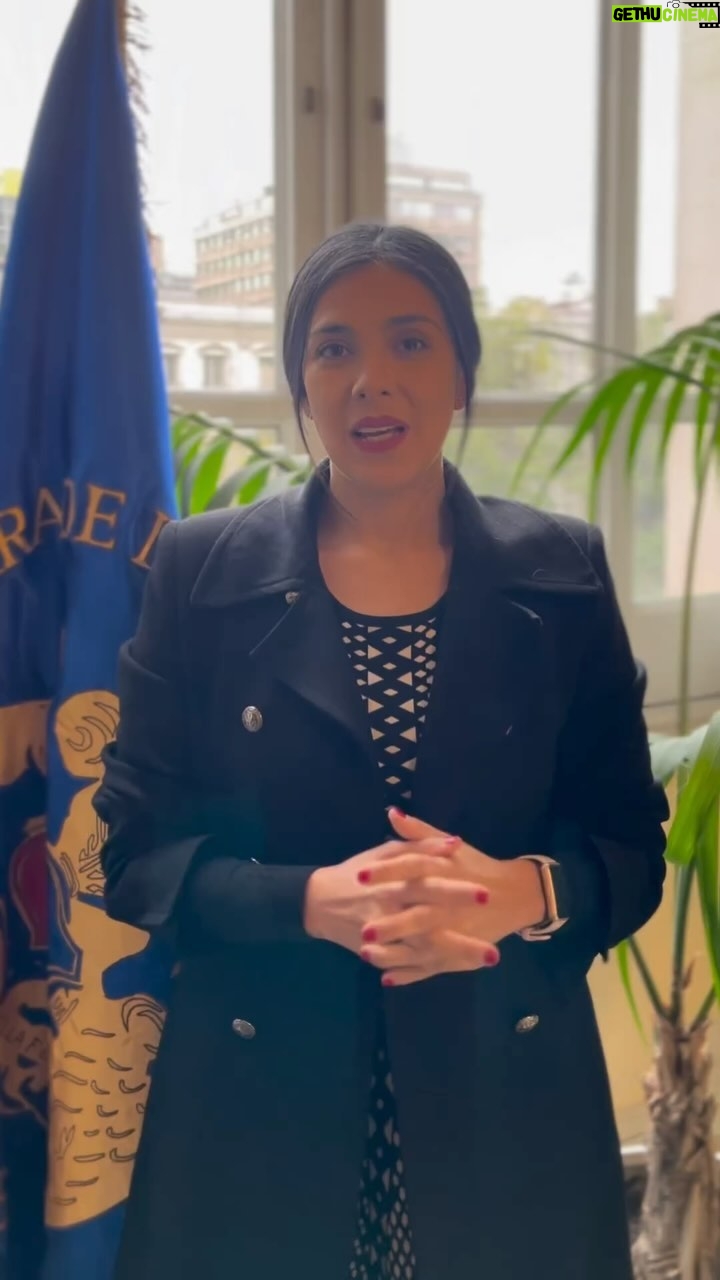 Karol Cariola Instagram - 1 de mayo conmemoramos el día internacional de las trabajadoras y trabajadores🇨🇱 Enviamos un abrazo lleno de fuerza y energía para seguir caminando juntas y juntos en la búsqueda y conquista de mejores condiciones laborales. Por un trabajo digno para las trabajadoras y trabajadores de nuestro país.