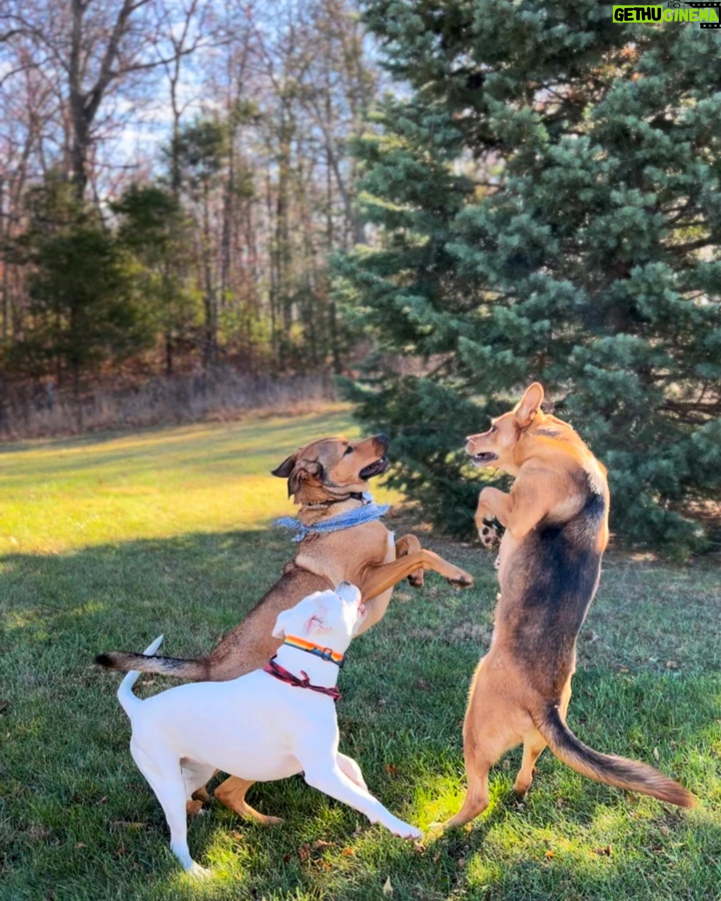 Kassandra Clementi Instagram - Three amigos