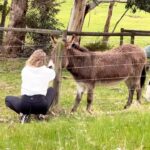 Kassandra Clementi Instagram - Missing home 🇦🇺 Repost @danmckerna My person ❤️ @kassandraclementi stopping the vehicle on a random country road to comfort a lonely donkey