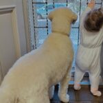 Kassandra Clementi Instagram - These home security systems are getting cuter and cuter. But also more expensive to maintain? And I had to birth one of them?