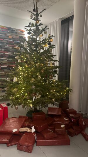 Katarína Štumpfová Instagram - Včera to bolo #magical✨ 

síce som potom celú noc zápasila so žalúdočnou virózou ale aspoň krásny štedrý večer sme stihli🎄