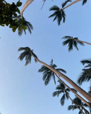 Katarína Štumpfová Instagram - Obľúbený uhol pohľadu🌴