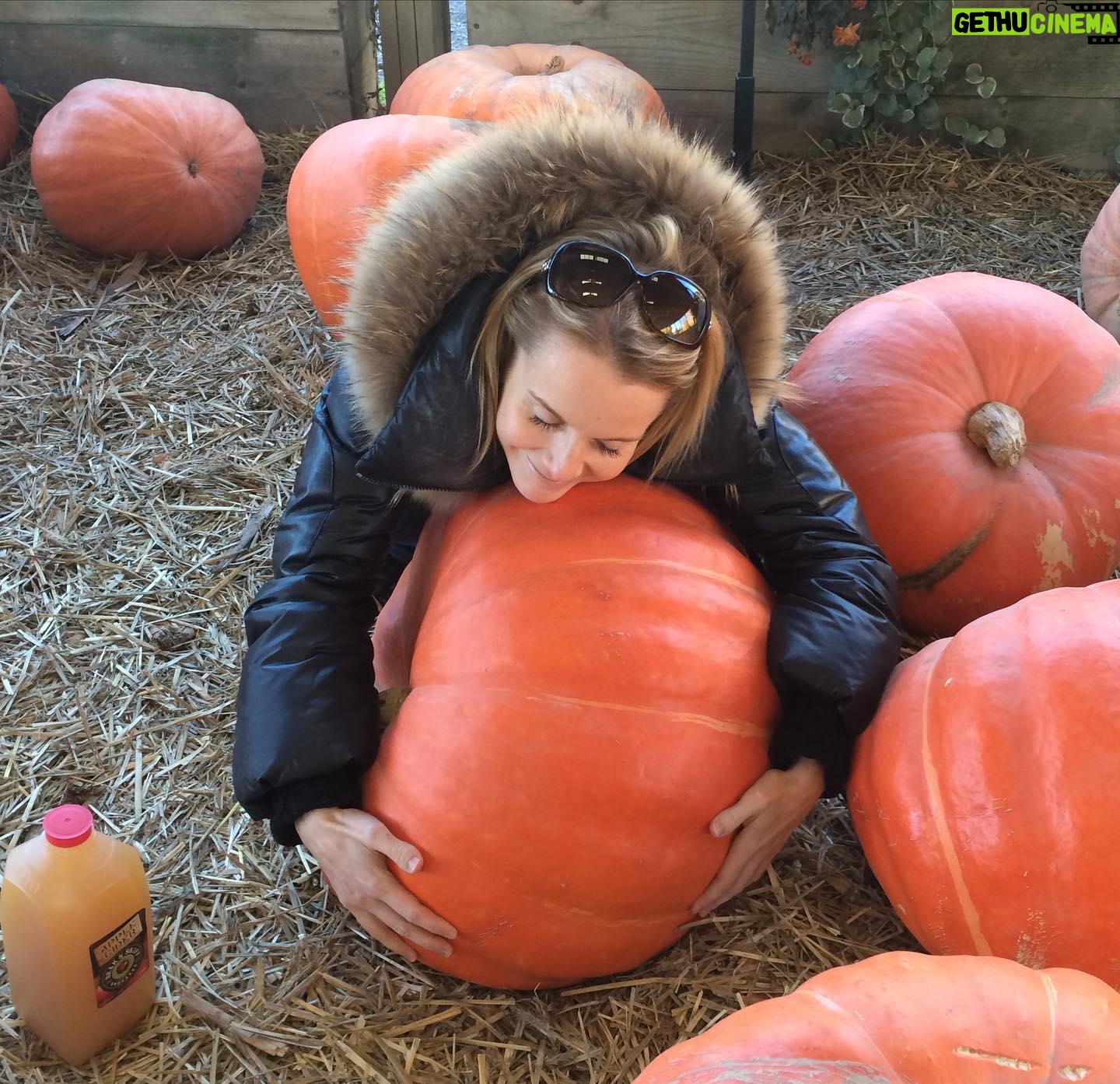 Kate Reinders - 7.7K Likes - Have you hugged a pumpkin today??
(And sending hugs to you, all my little pumpkins!) 🎃❤️