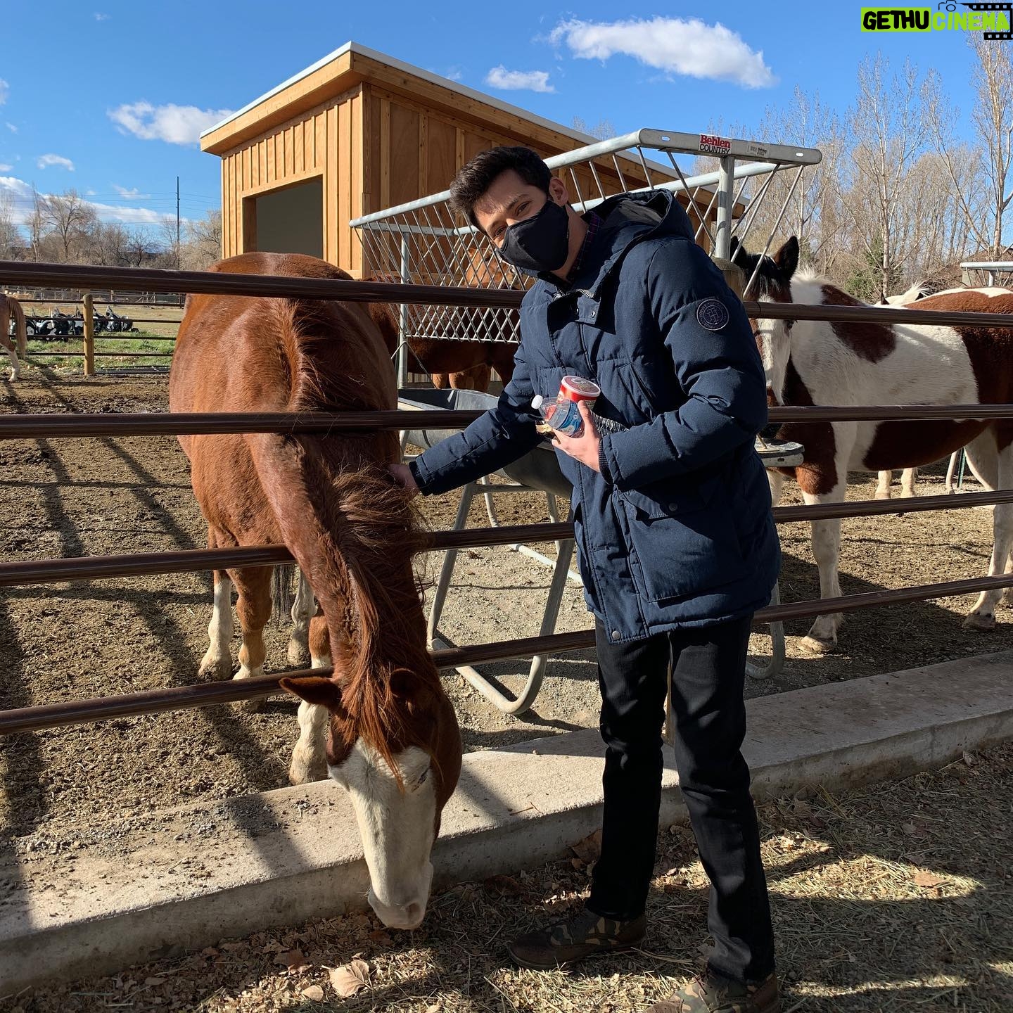 Kate Reinders - 29K Likes - Just another one of my babies. (Yes, my tallest baby.) I love you, sweetie pie @mattcornett š #sebsfarm #quinceƱero #wheelerhistoricfarm