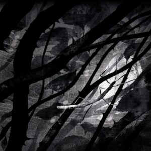 Kate Bush Instagram - THE BOOK PLAYLIST - 

Look out for The Book Playlist of How To be Invisible.

Available on Spotify and other streaming platforms.

https://open.spotify.com/playlist/7AFPW0KZWL1btzp8LoiRQZ?si=ff19f8097a724a8e