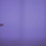 Kate Bush Instagram - www.katebush.com