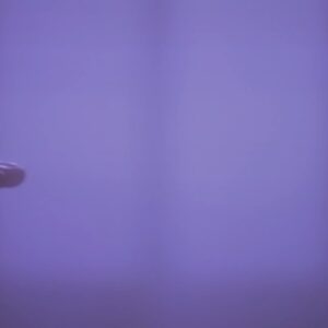 Kate Bush Instagram - www.katebush.com
