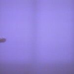Kate Bush Instagram -
