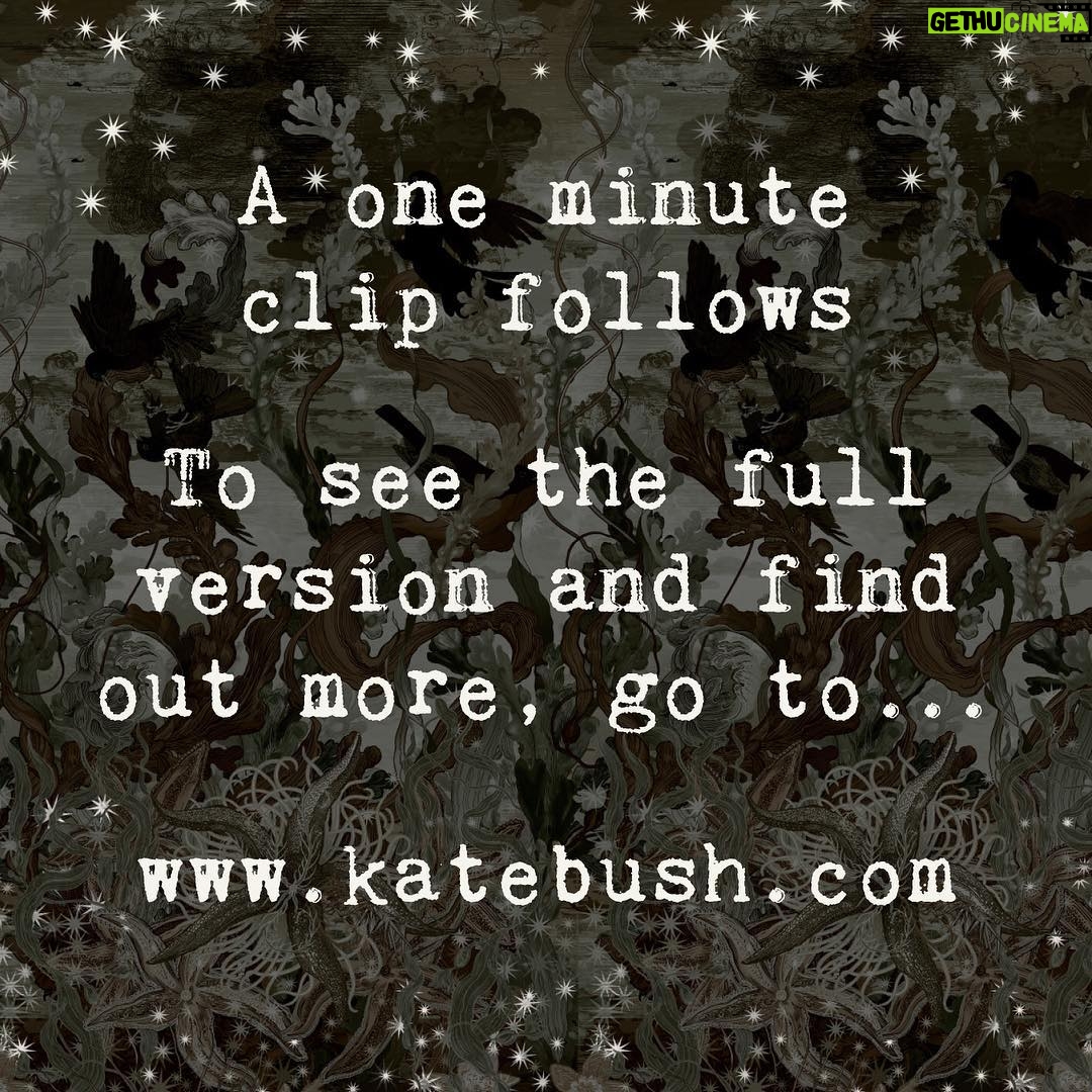 Kate Bush - 6.7K Likes -