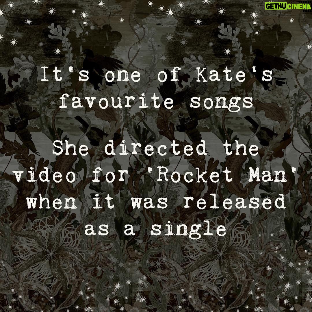 Kate Bush - 5.5K Likes -