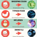 Kate Mara Instagram - Did you know most epidemic diseases originate in animals? Thanks for the info @afrovegansociety 💚 Human epidemics started about 10,000 years ago when we forced wild animals into domestication. ⠀ Forcing wild animals into close contact with humans also brought us into close contact with their diseases. ⠀ We will continue to create these deadly epidemics as long as we have an animal-based food system. ⠀ Building a completely accessible plant-based food system is the only solution✊🏾💚🌱✨ #epidemicdiseases #blackvegansofig #blackhealthmatters #blackvegancommunity #vegan @afrovegansociety
