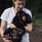 Kate Mara Instagram - BABY CHIMP RESCUE airs tonight on @bbcamerica ❤️Please watch to see the incredible work our friends are doing @liberiachimprescueprotection **** Chimpanzees are not and should not be pets or forced to live with humans.** The chimpanzee orphans at LCRP's sanctuary in West Africa are victims of the bushmeat and illegal pet trade. Their mothers were tragically killed by poachers and require around the clock care. Thanks to the dedicated caregivers and staff, the orphans are being rehabilitated so that they will be able to thrive with others in a natural and safe environment when they’re older. Please support LCRP’s mission to rescue chimpanzees in need and keep wild chimps wild!