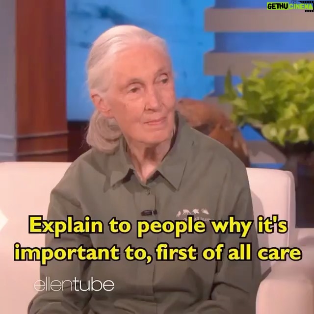 Kate Mara Instagram - Happy #WorldWildlifeDay❤️ Meeting Jane Goodall is still one of the highlights of my life. @janegoodallinst