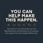 Kate Mara Instagram – This common sense legislation restricts the expansion and abuses of factory farms, which have been proven to harm animals, communities, and the environment. 

Take action to help farm animals and orient our food system towards justice- tap link in bio and tell your U.S. Representative and Senators to co-sponsor and support the Farm System Reform Act.
